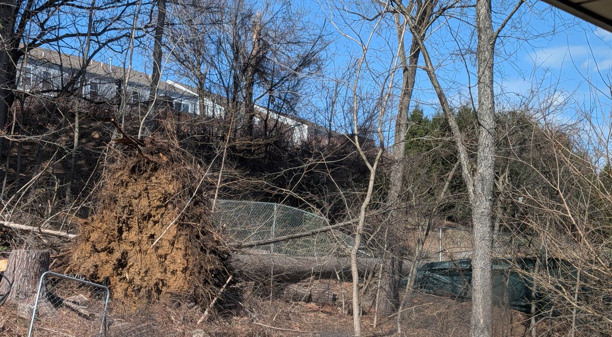 David Bousquet tweet media