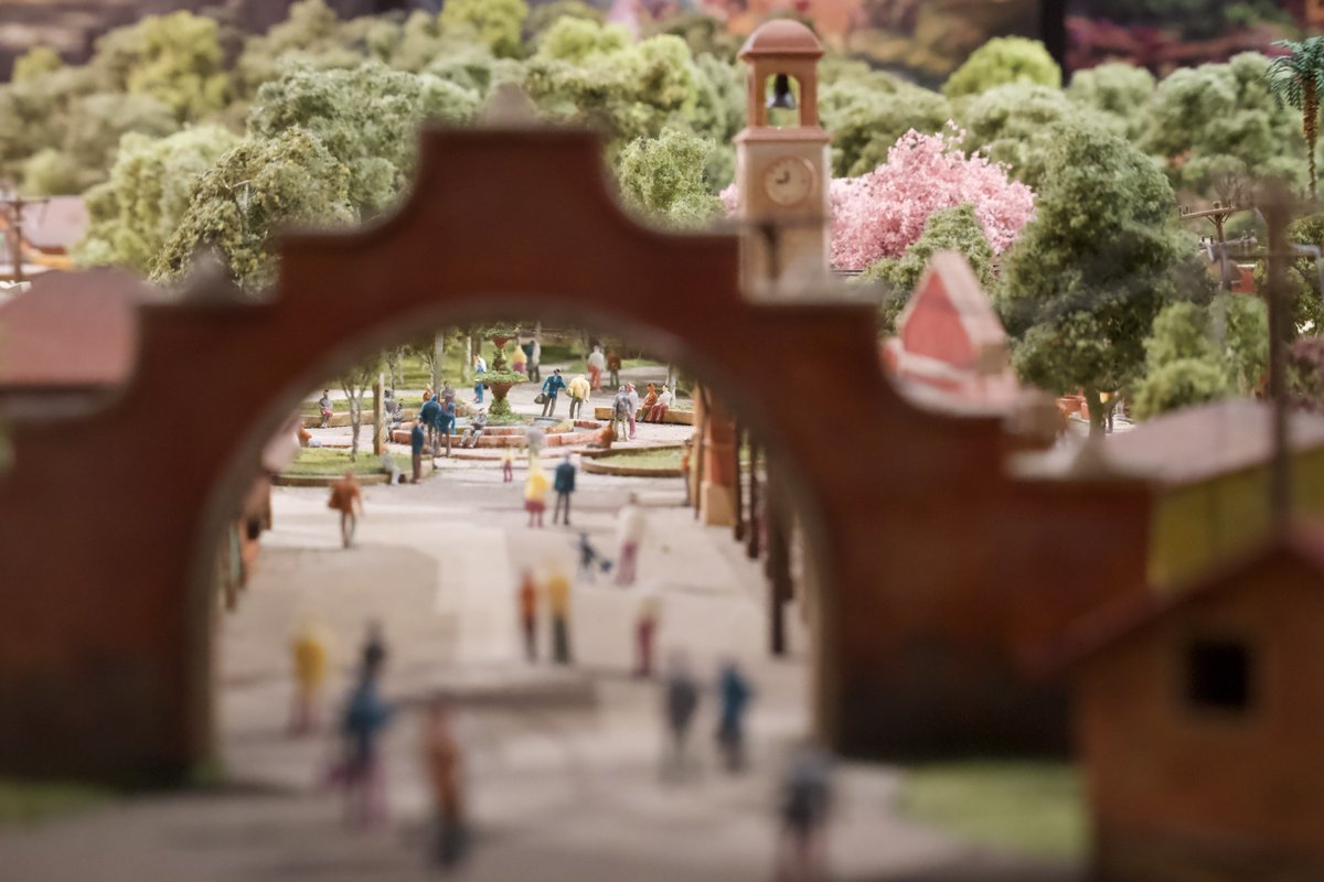 Test Shot Tyler tweet media