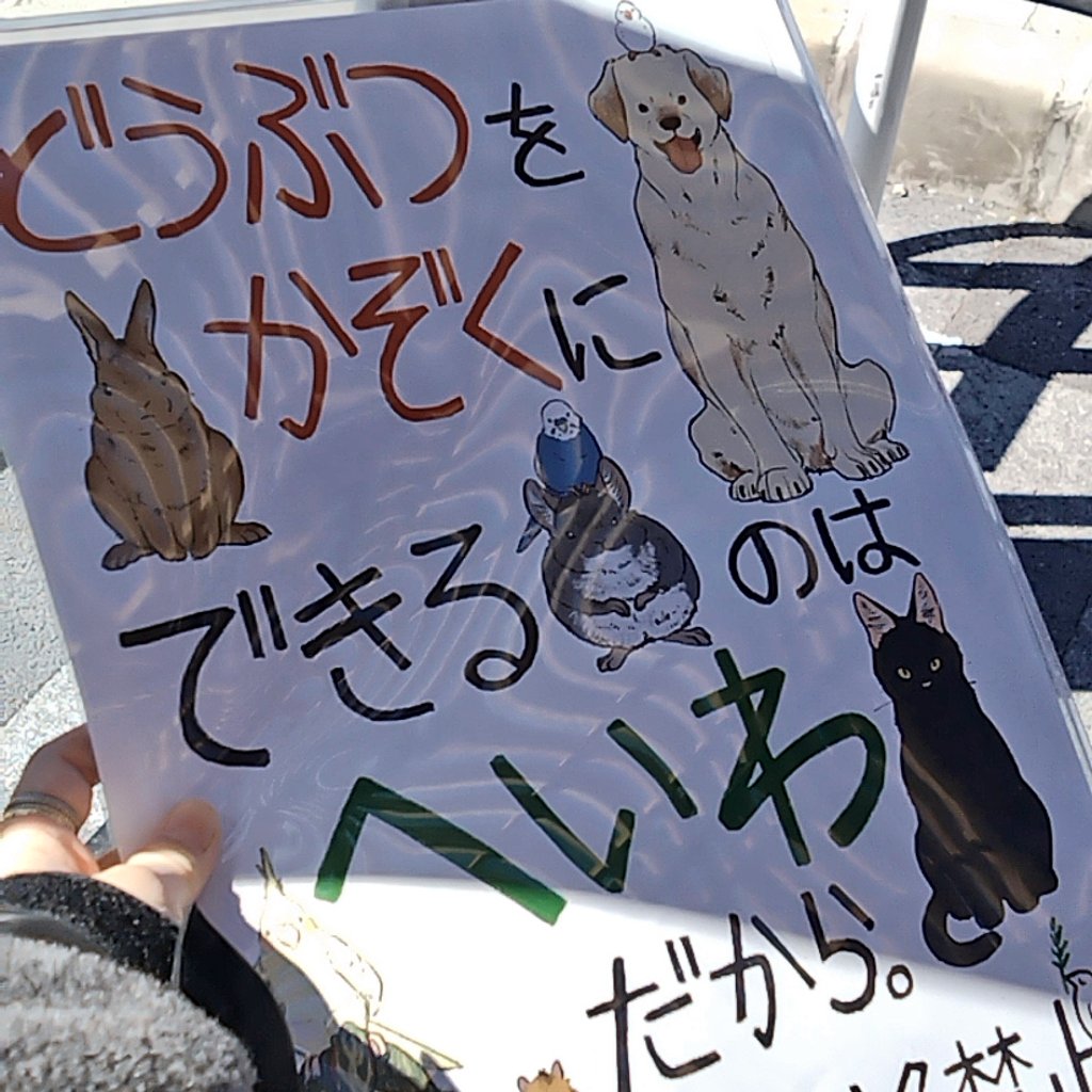 少し立ってから行きます。
お店は13時から。
＃ひとりスタンディング
＃戦争反対
#平和賛成