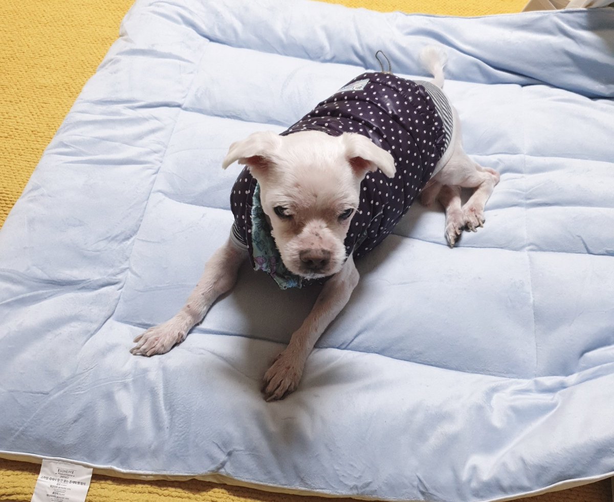 싹노감 SsNK tweet media