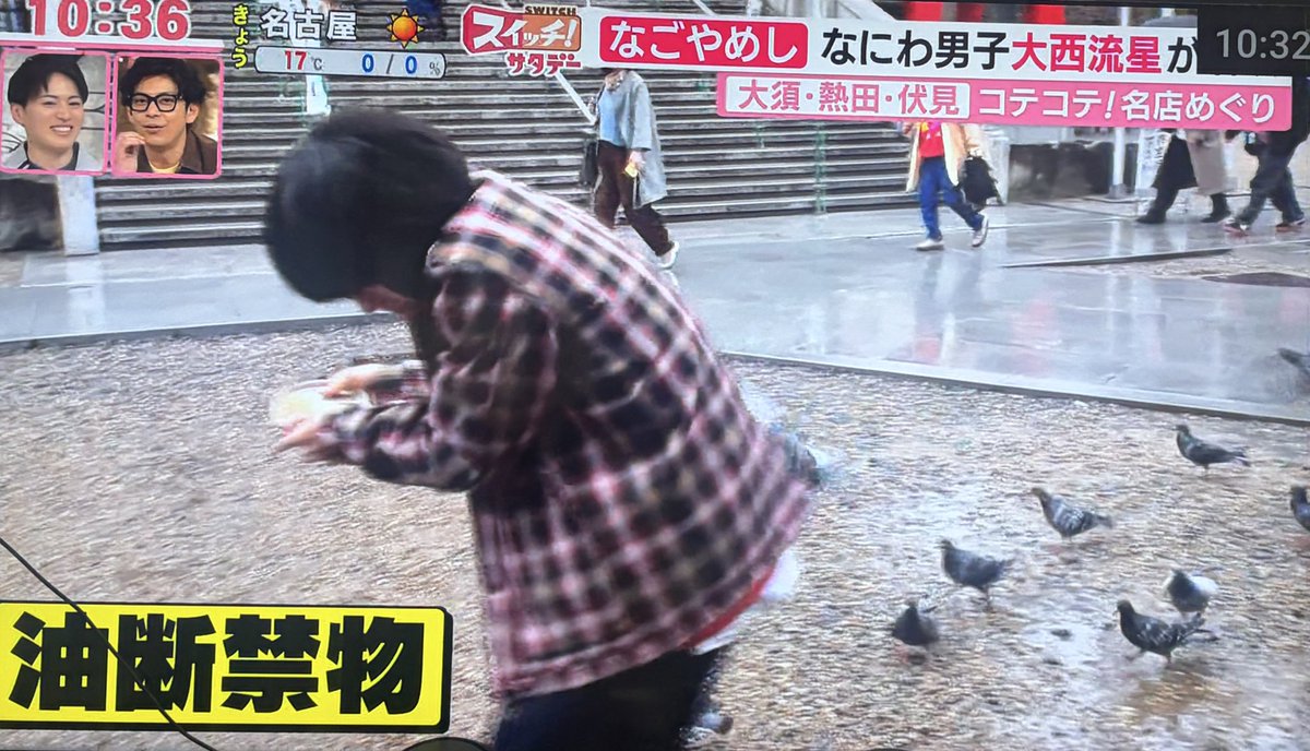728_1banboshi's tweet photo. #スイッチ
鳩に襲撃されるりゅちぇ😂 https://t.co/vzWq0Qma4r