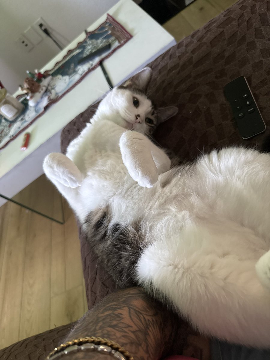 𝔏𝔦𝔤𝔥𝔱 tweet media