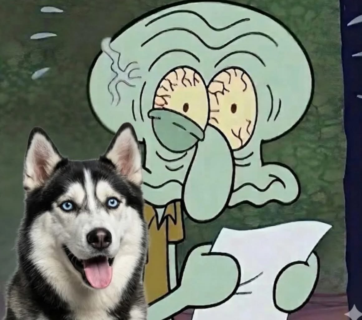 Dilo con perritos tweet media