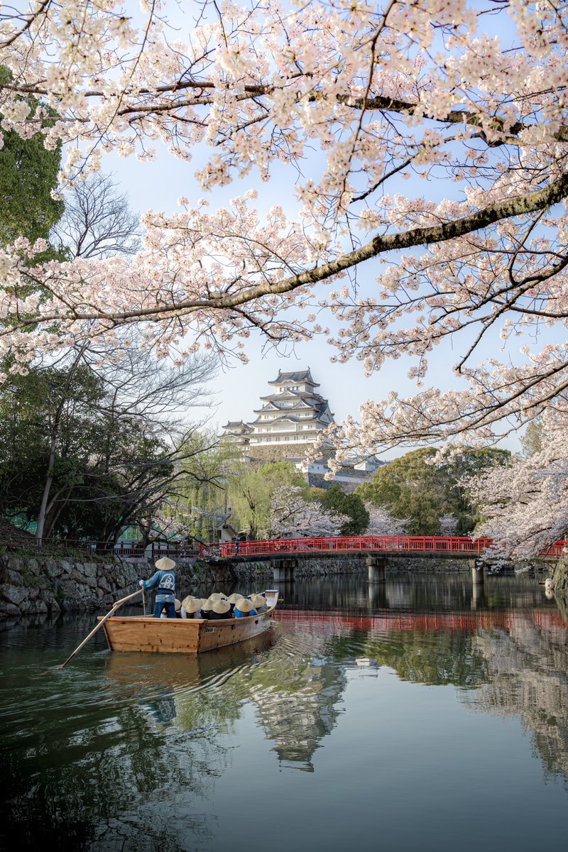 日本の美しさが詰まった春の姫路城