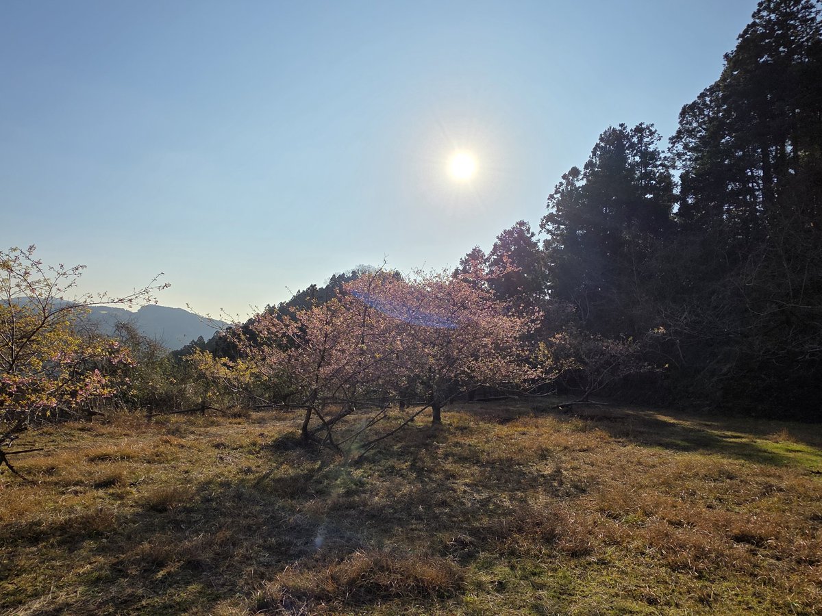 stupidjun's tweet photo. #登山 #千葉のマッターホルン #伊予ヶ岳
なかなか楽しい登山道でした！ https://t.co/U6vJbzz2tb