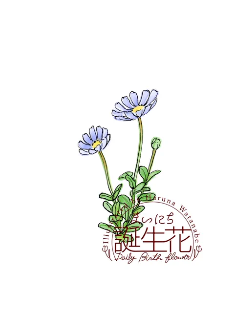3月14日 ブルーデイジー 花言葉 恵まれている #1日1絵 #まいにち誕生花