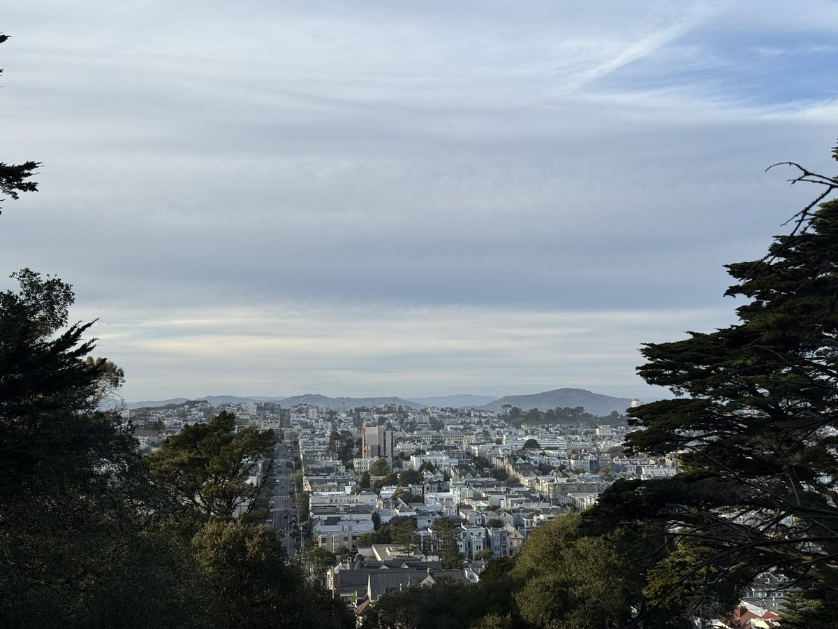 Samuel Brewsef tweet media