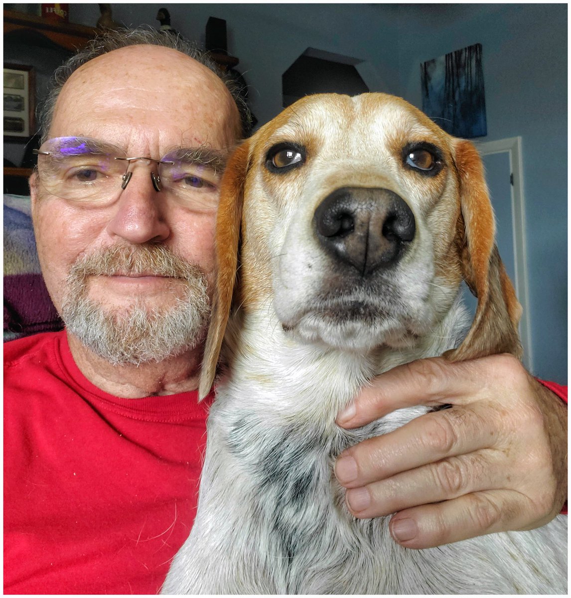 @OldGrumpyMike.bsky.social tweet media