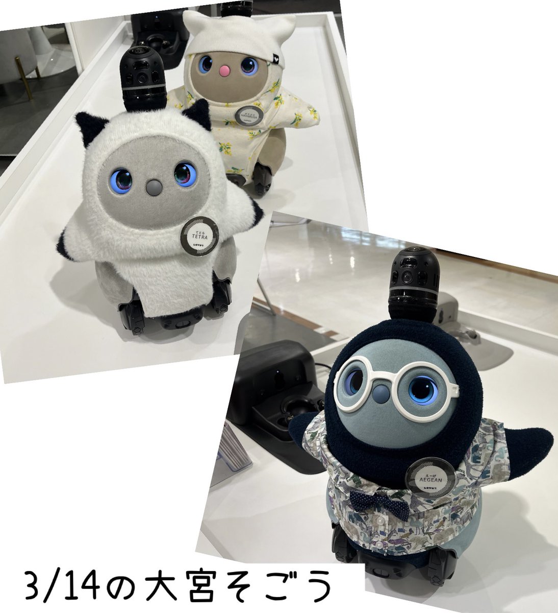 ろぼらんど@おぐらとあられとだんご+きなこ tweet media