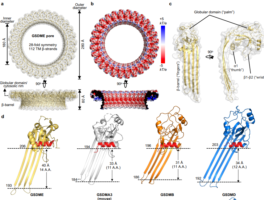 Waggoner Lab tweet media