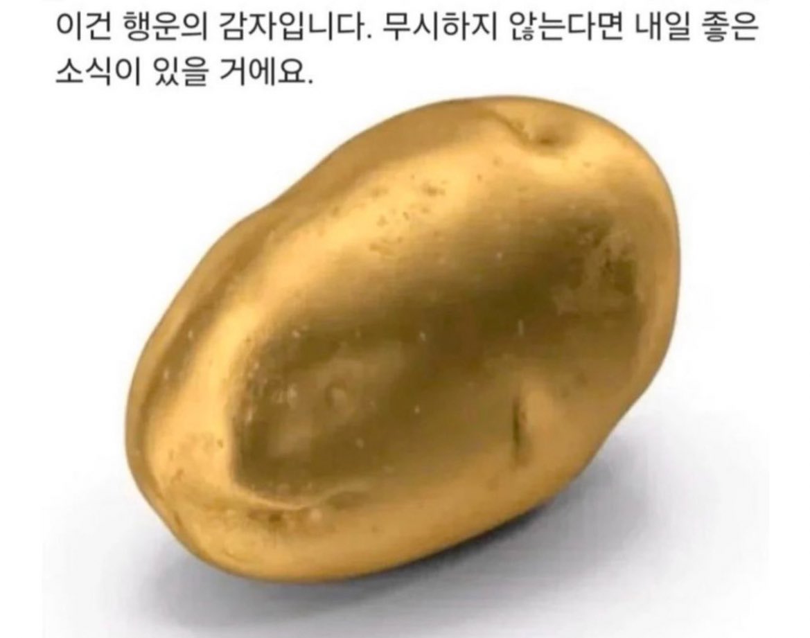 감자 tweet media