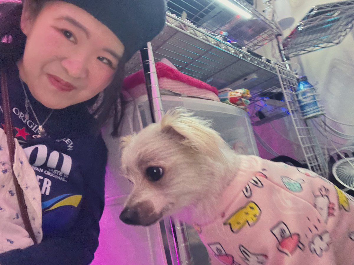 きぬか🌺 /kinuka tweet media