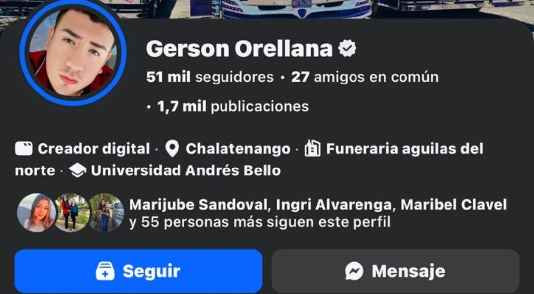 Bicho247 tweet media