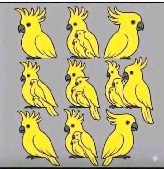 Diego Royet tweet media