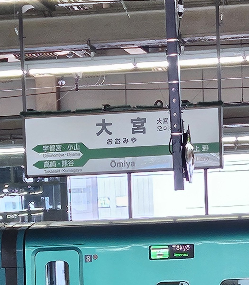 LittleUki's tweet photo. 大宮いるのに山形へ帰宅
湘南戦いきたかったな https://t.co/2UdC1Le3sb
