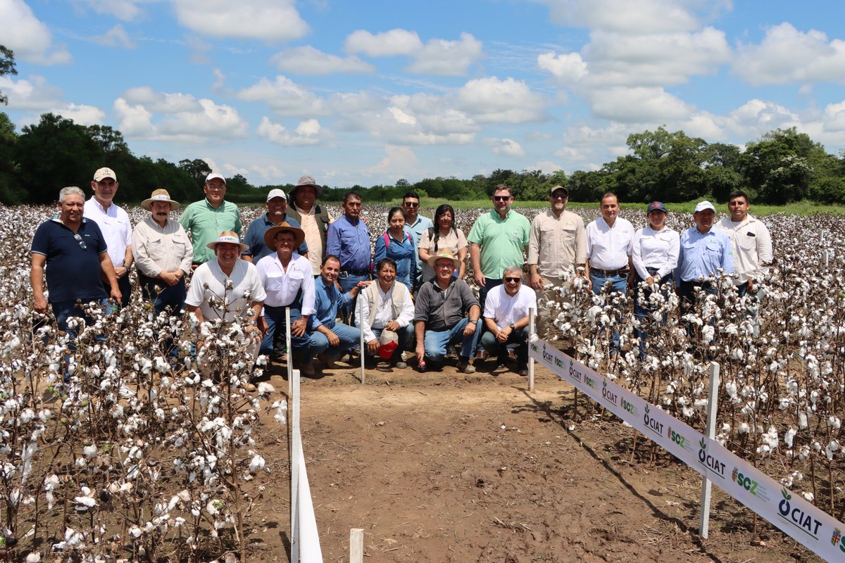 CAO Bolivia tweet media