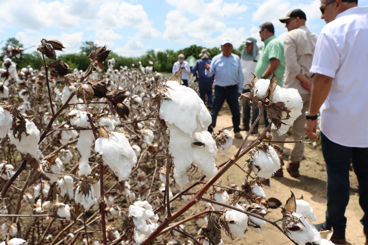 CAO Bolivia tweet media