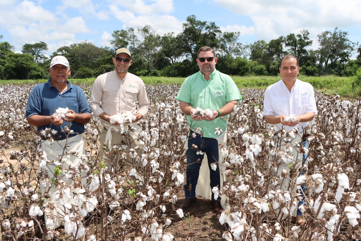 CAO Bolivia tweet media