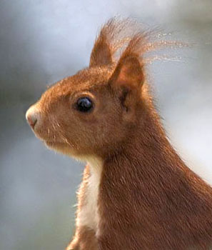 Aquiles Vaeza 🇨🇴 tweet media