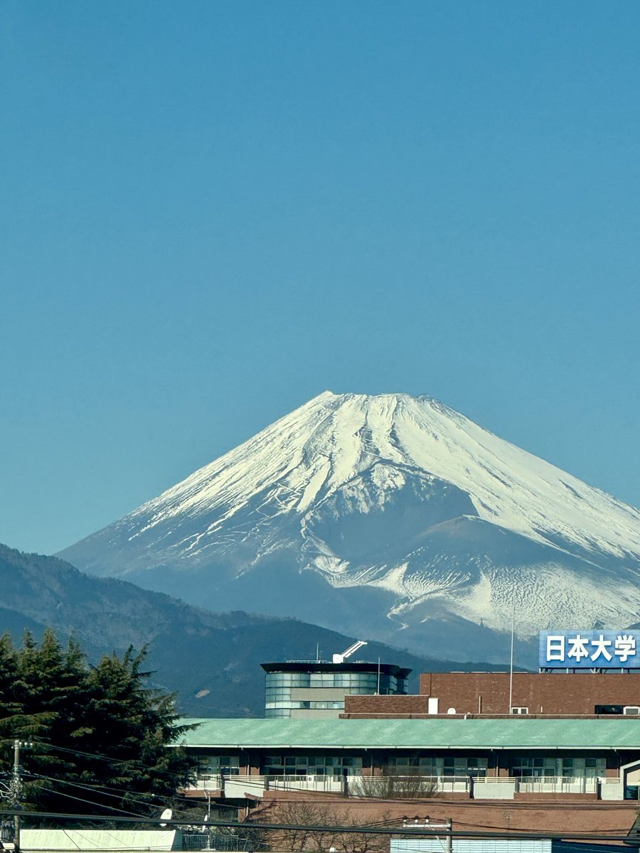 Lorena Vicente tweet media