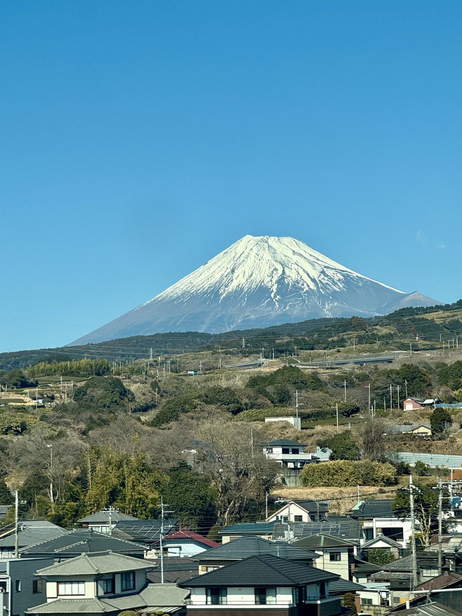 Lorena Vicente tweet media