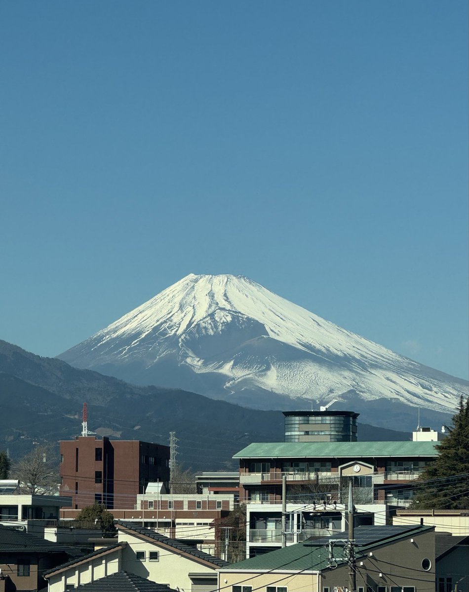 Lorena Vicente tweet media