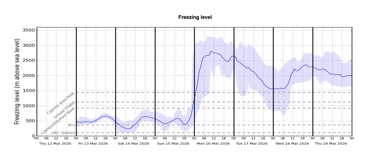 Thierry Goose tweet media