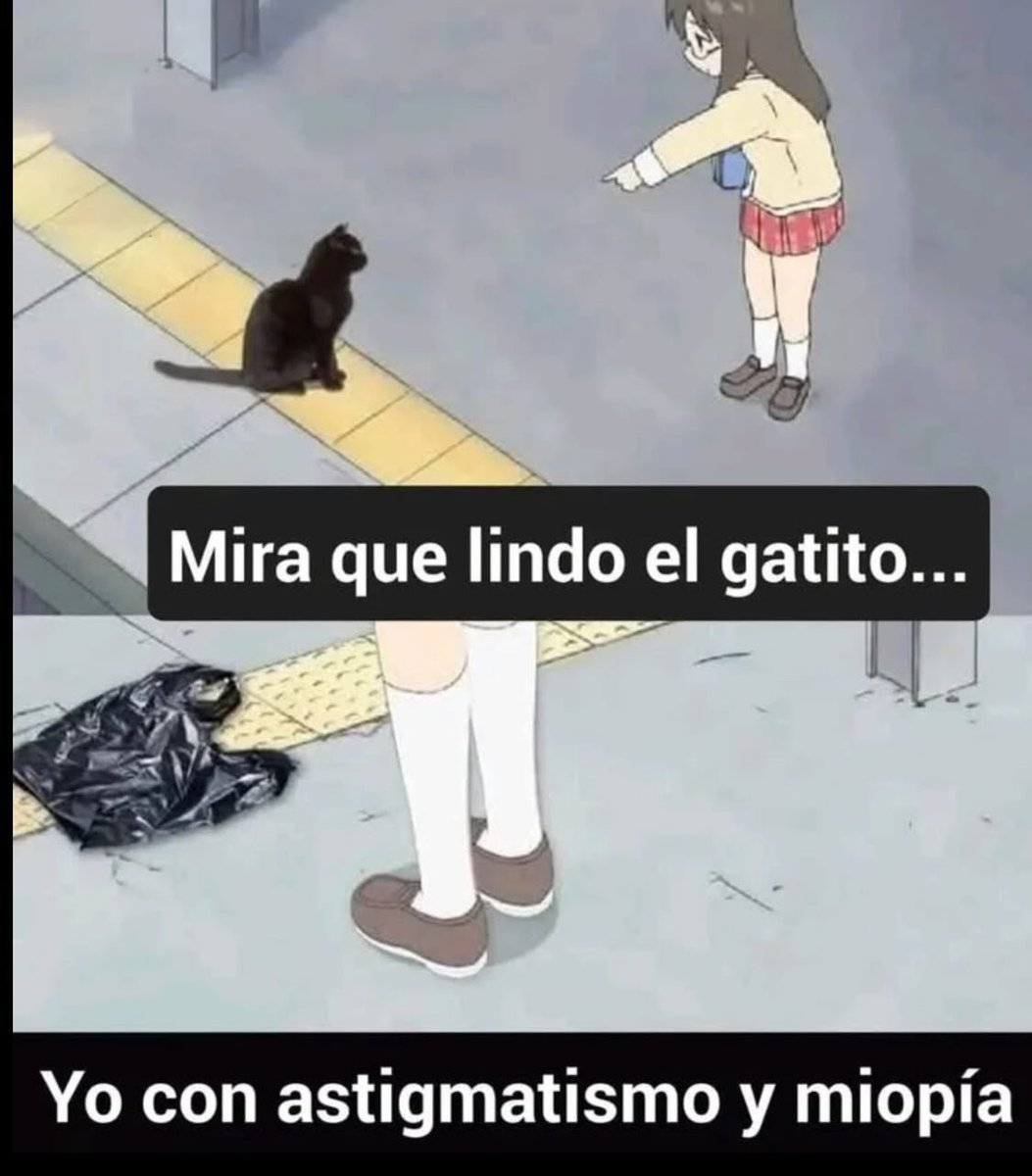 Más Ciencia tweet media