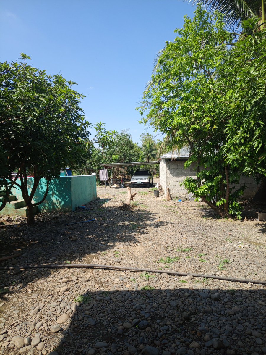 dikseyyy's tweet photo. Yeyyy, at the farm, at peace with so many things left to do😵‍💫

Gonna do my pendings here😘 https://t.co/yLteBhH1Jm