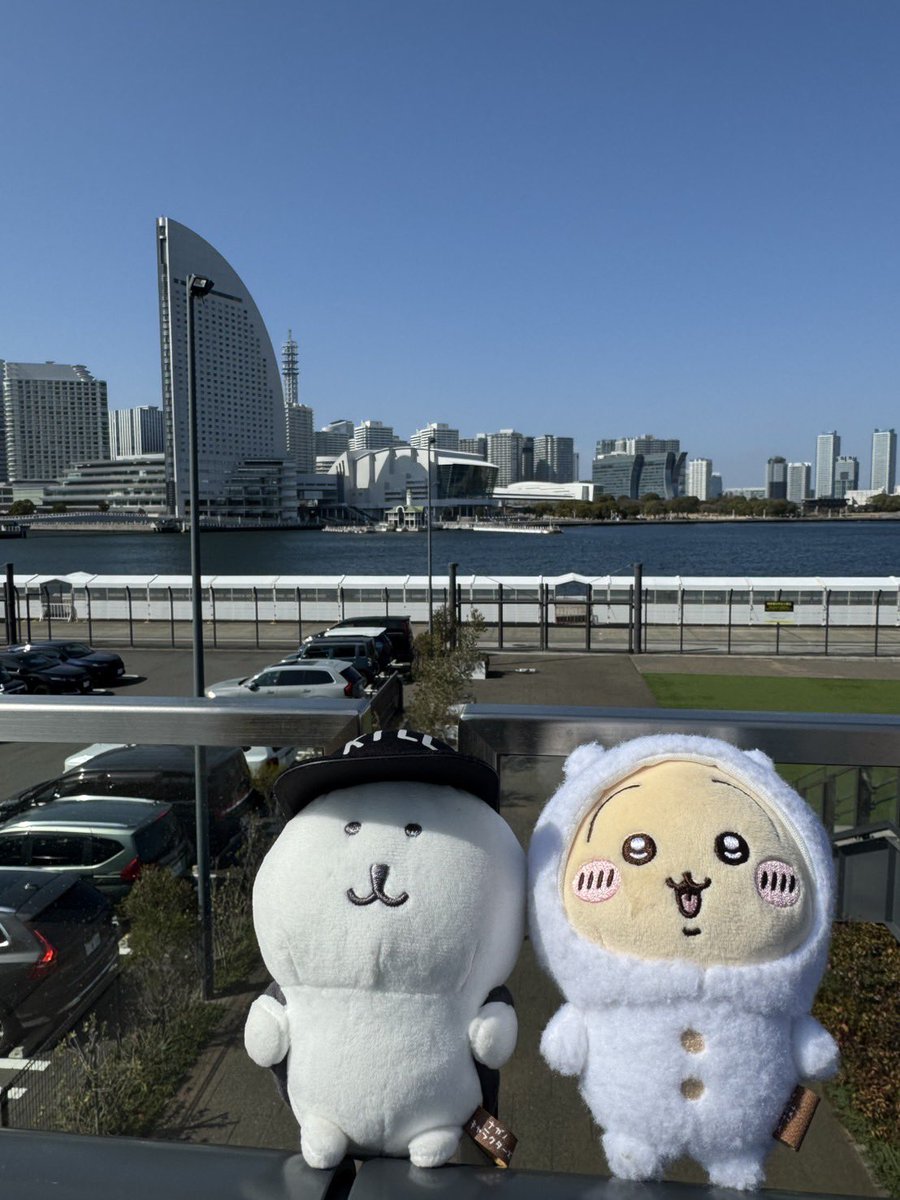 拡散して頂けると幸いです。

川崎→横浜
に向かってる最中に落としてしまったようで。。

写真右のうさぎです。。

横浜駅南口でて、横浜中央郵便局のあたりで気付きました。。

見かけたらDM頂けると幸いです。