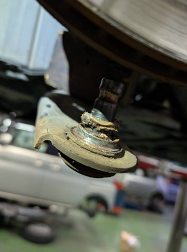 武蔵野自動車【武蔵野Cafe隣接】 tweet media