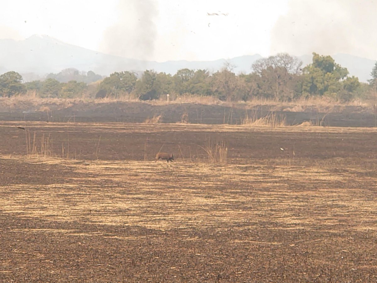 国土交通省利根川上流河川事務所 tweet media