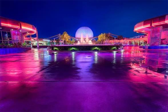 Theme Park Cheetah tweet media