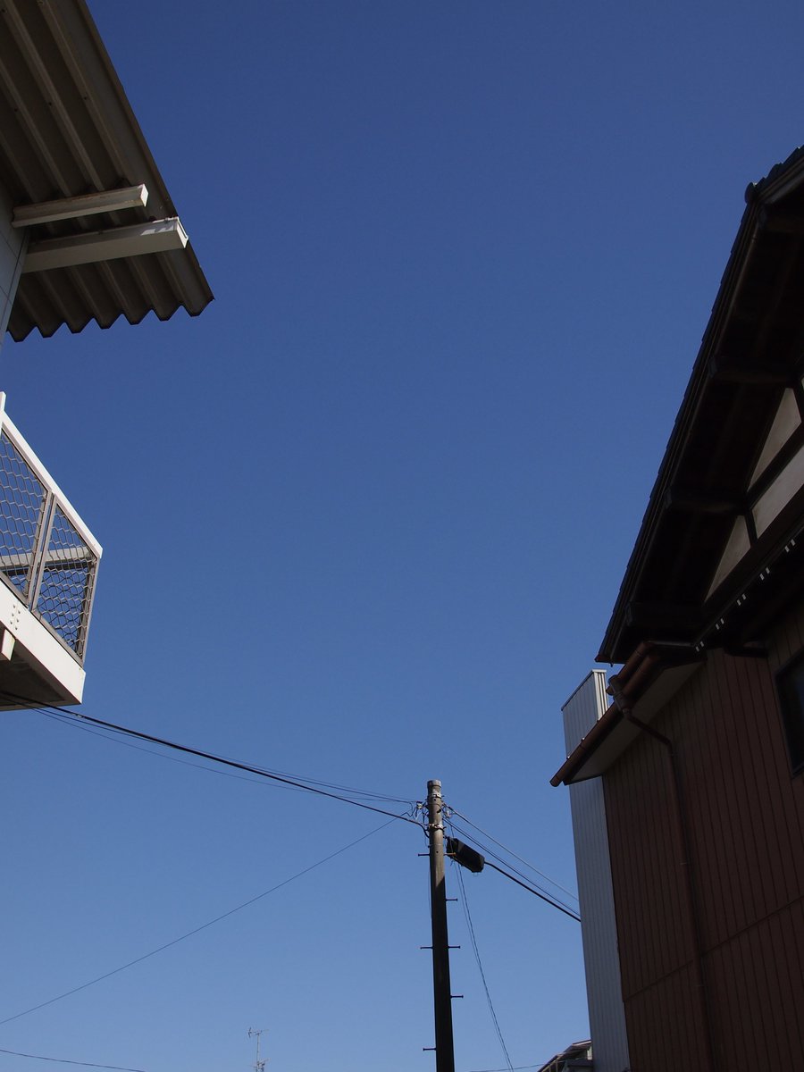 teteriko2's tweet photo. 気が落ち込んでる時は外に出て
なんも考えずに過ごしたい
#写真好きな人と繋がりたい
#キリトリセカイ
#epl3 https://t.co/6euk0RCq3M
