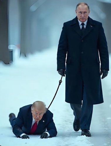 BlueViking10's tweet photo. @EricLDaugh @BlackwoodBrief #TrumpRapist
#TrumpWorksForPutin https://t.co/Q9COuO7BXA