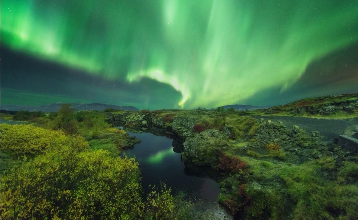 Christopher McQuade tweet media