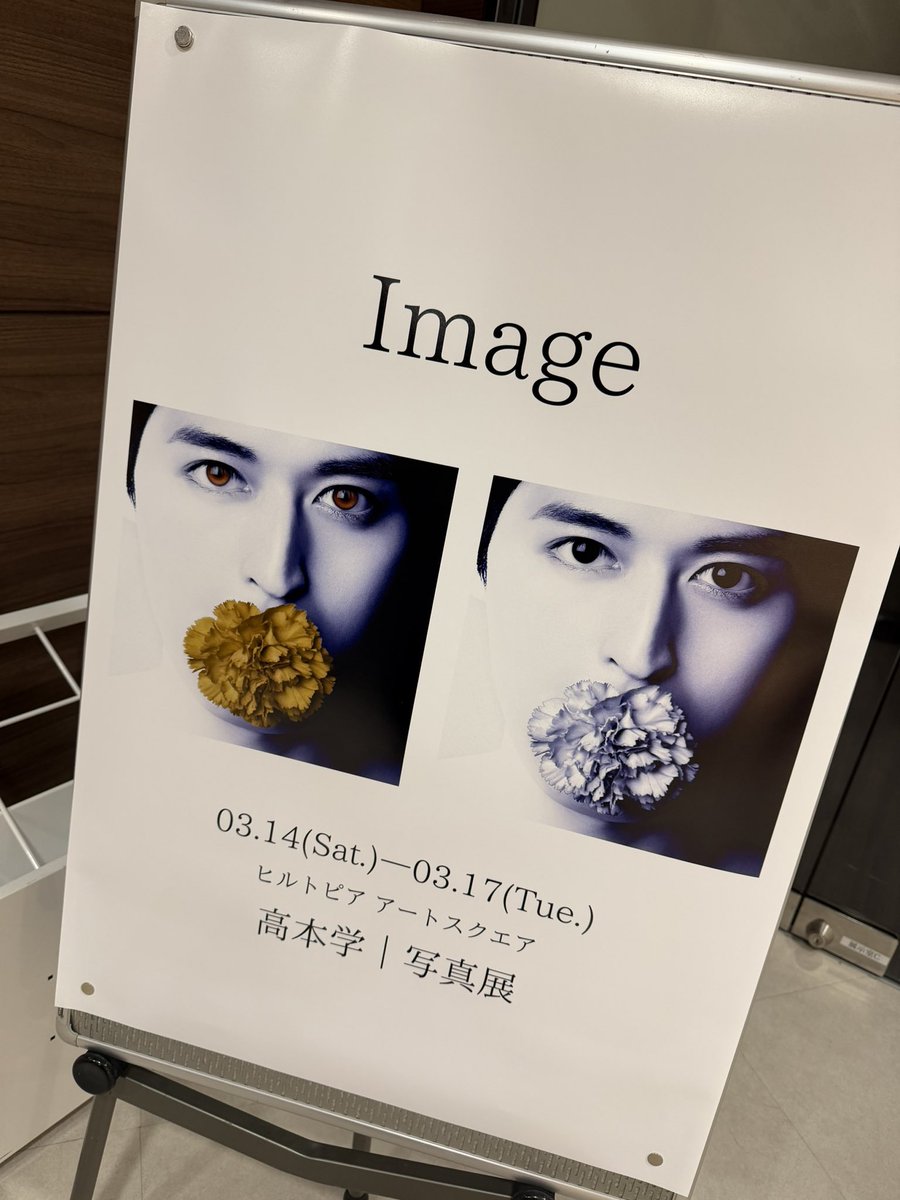 高本学STAFF(公式) tweet media