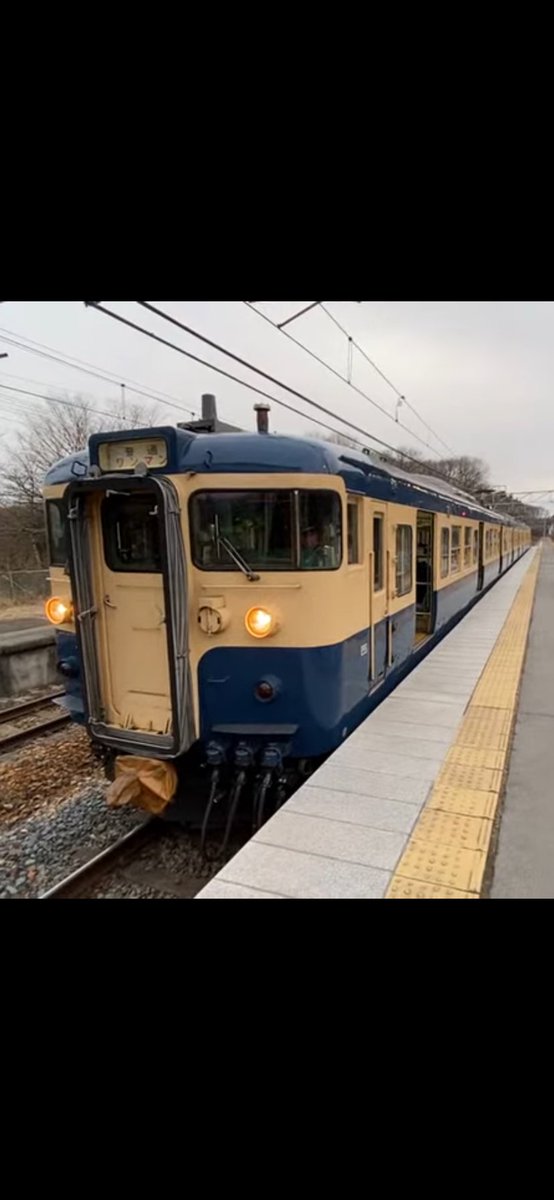 Natchan0223's tweet photo. 昨日の3月13日のダイヤ改正で引退した車両達

#ダイヤ改正 https://t.co/a0xZS4Xi1j