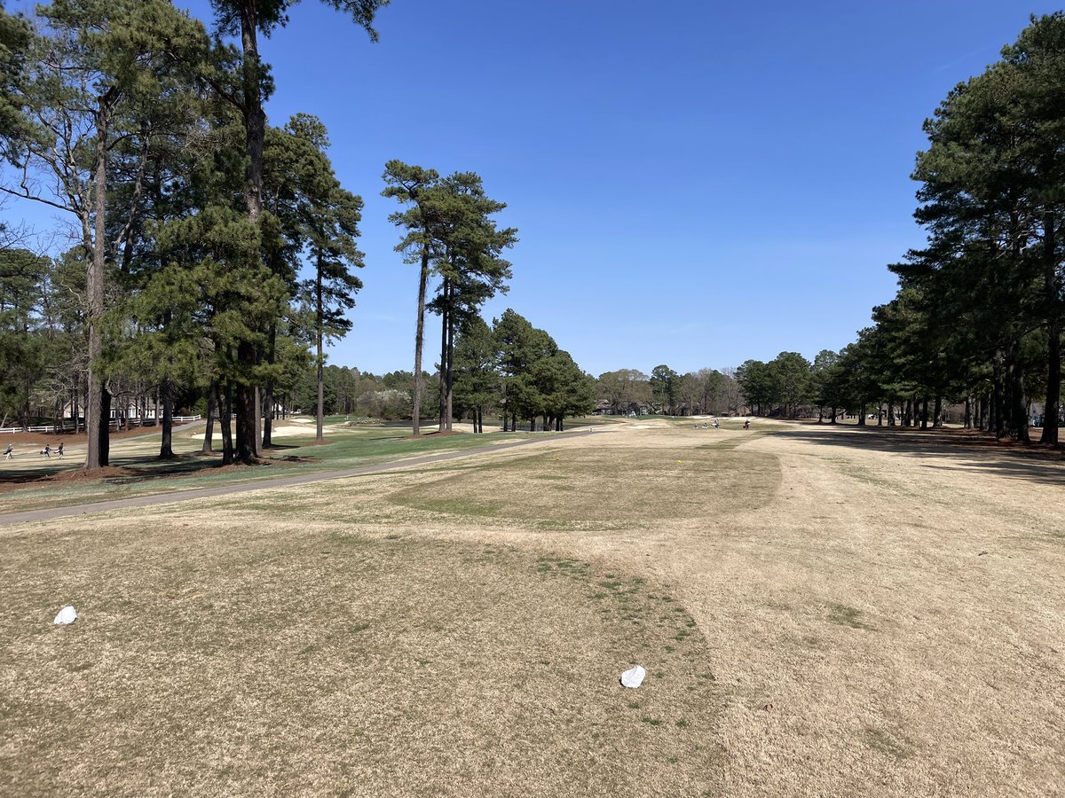 Cougars 10th today <a href="/pinehollowgolf/">Pine Hollow Golf Club</a> Madyson Scott Mem. Inv lead by ‘27 Kalan Strable’s +4, 75.  21 schools, 107 players, great course, event, and competition.