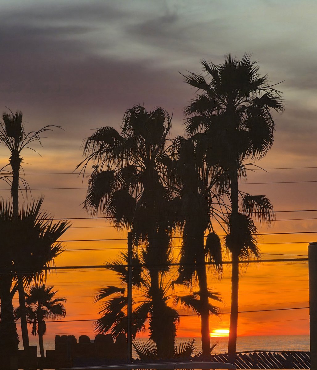 Chris Del Grande tweet media