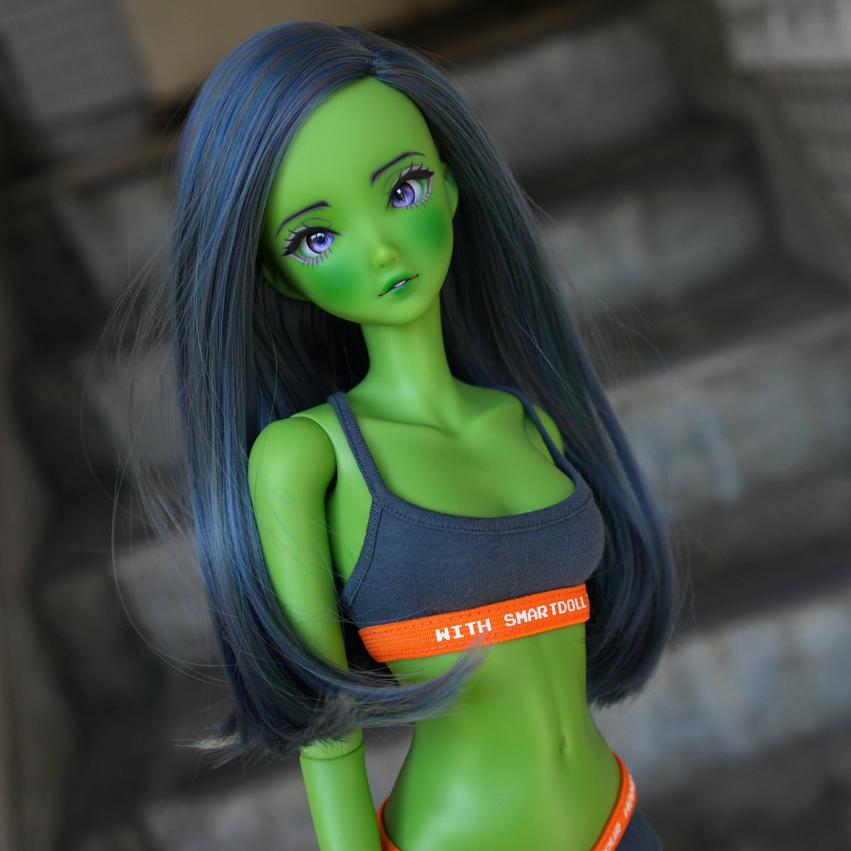 Smartdoll Land tweet media