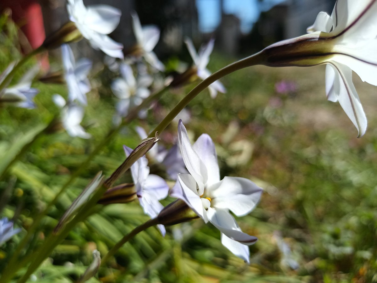 良い天気なう。

#きんかん