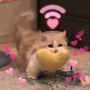 A.M.Arts🔞 tweet media