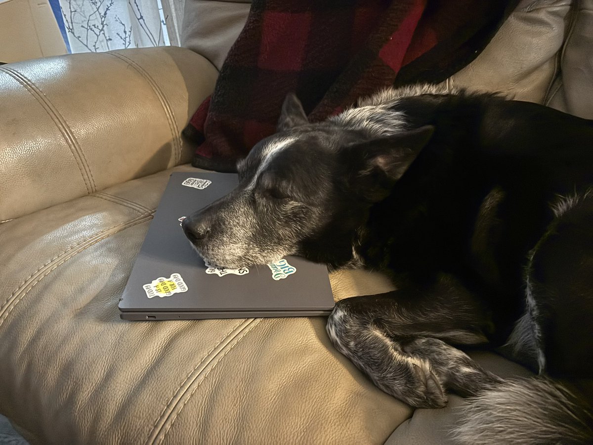 Kevin Booth tweet media