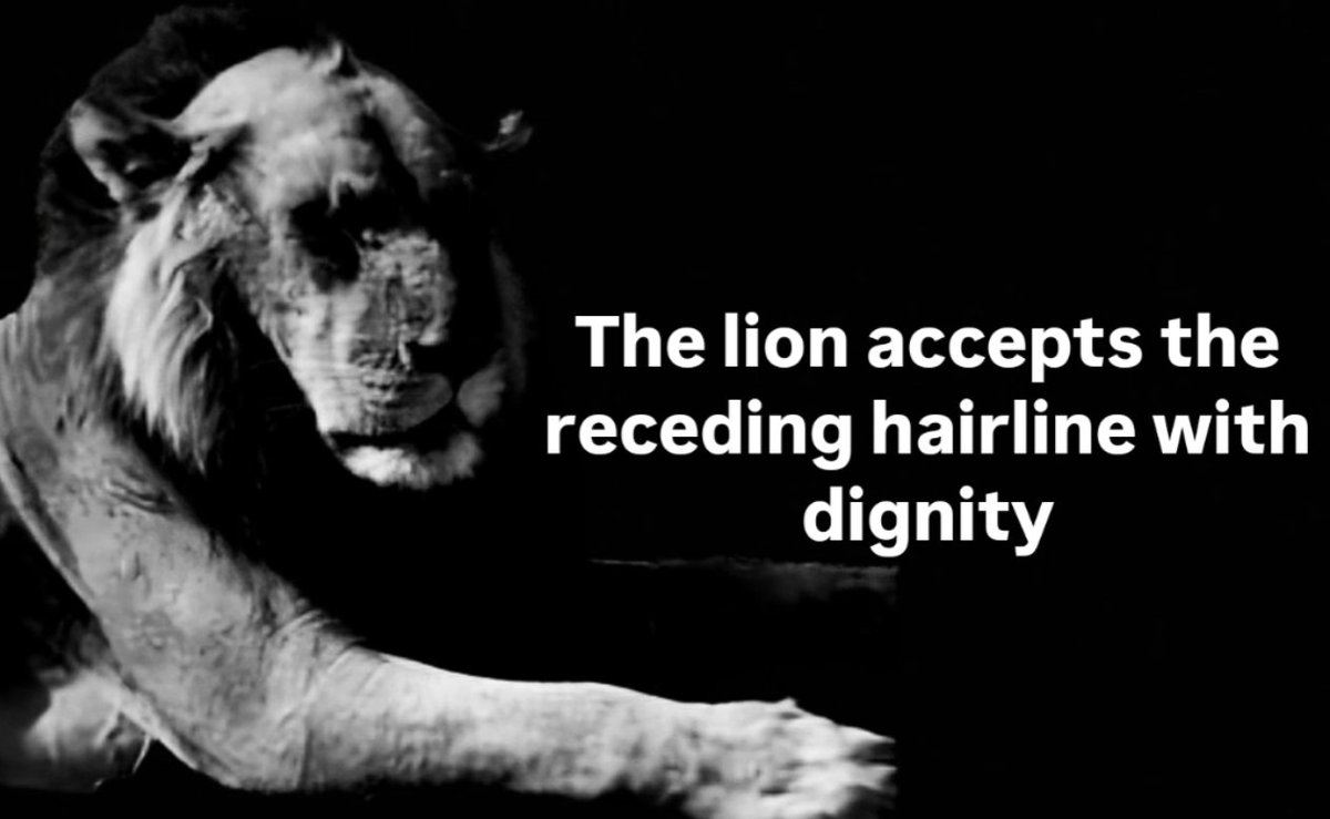 Radiation tweet media