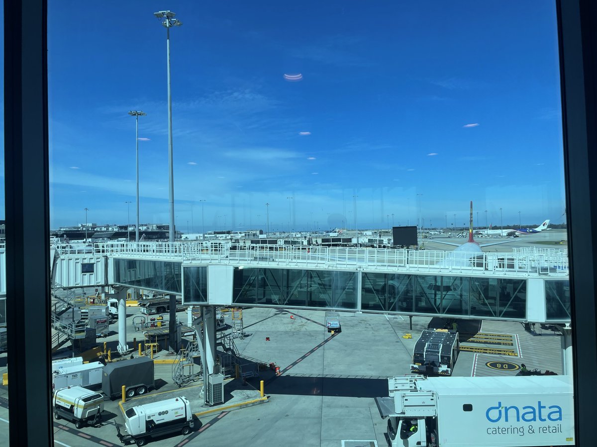 Rigel - リゲル tweet media