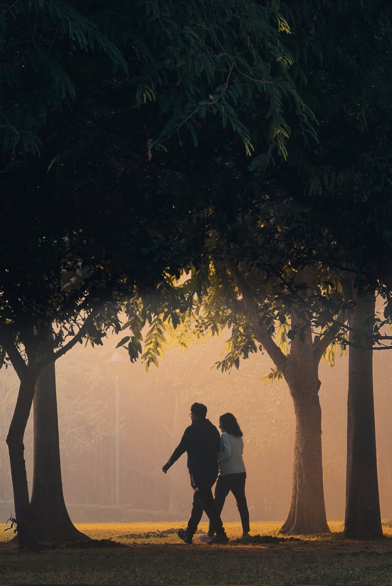 Bobby Roy tweet media