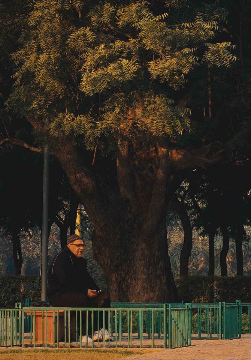 Bobby Roy tweet media