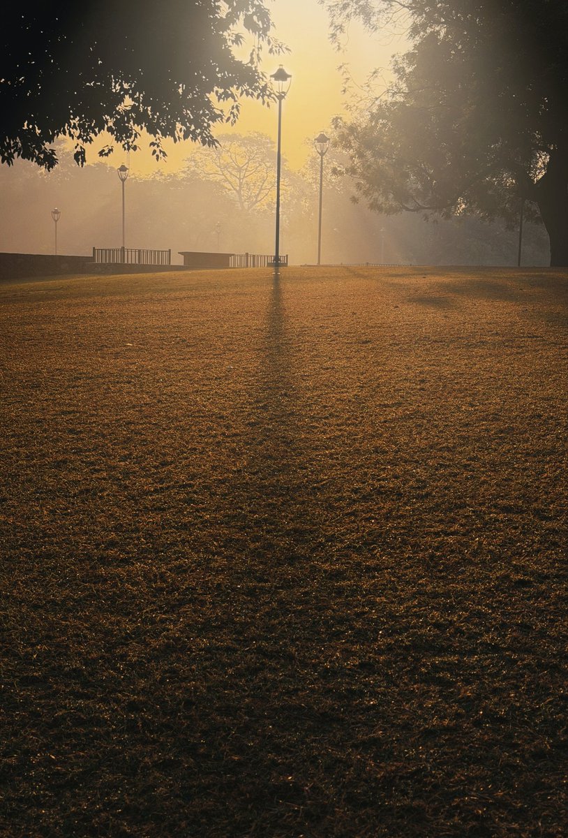 Bobby Roy tweet media