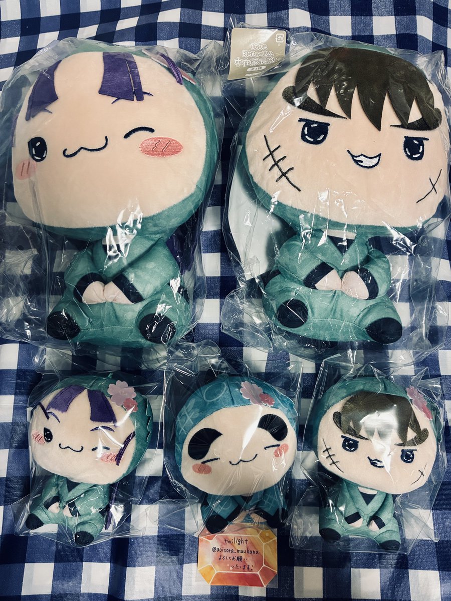 twilight(トワ)＊プロカご確認ください！ tweet media